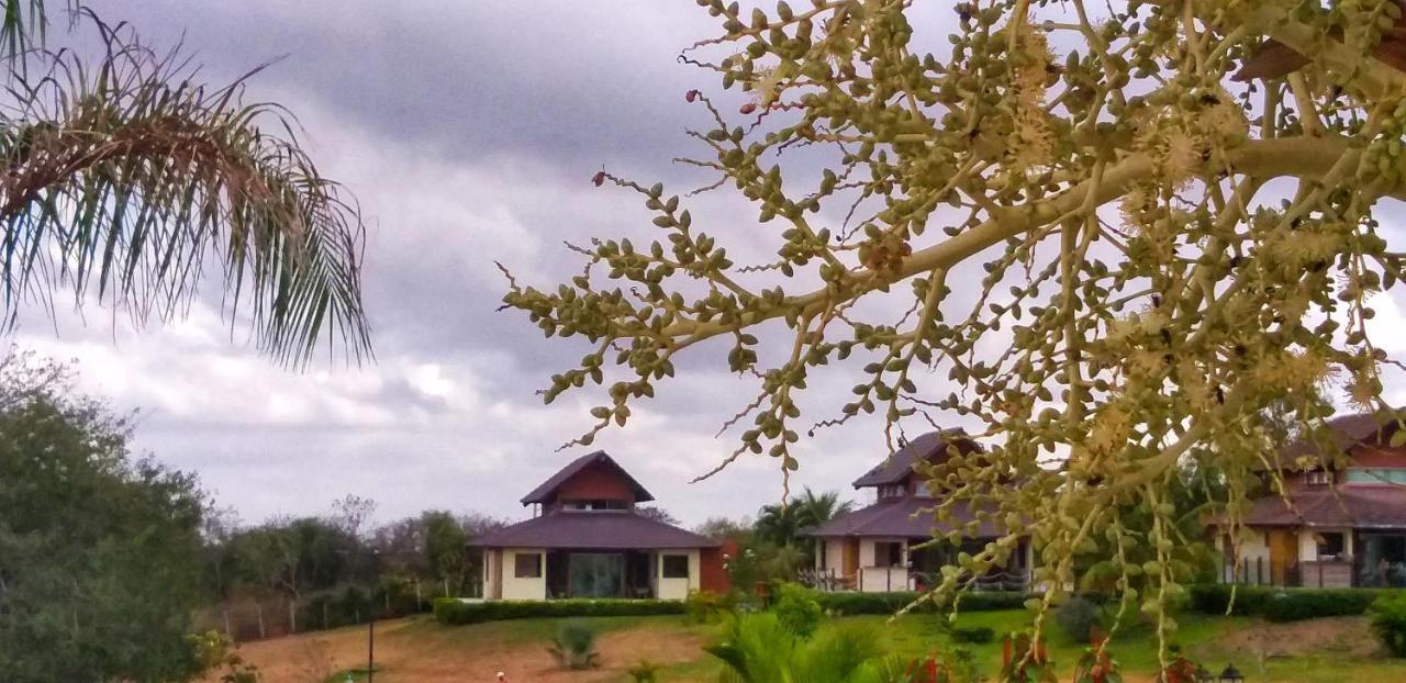 Winterville Flat 213 Gravata (Gravata, Pernambuco)